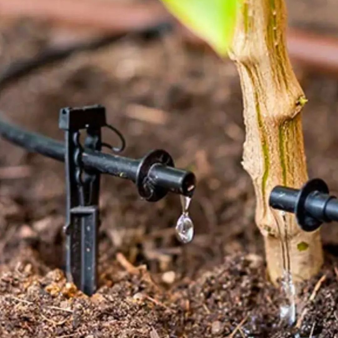 Support Stand for Dripper & 4mm Pipe – Drip Irrigation Pipe Holder - Bangladesh(BD)